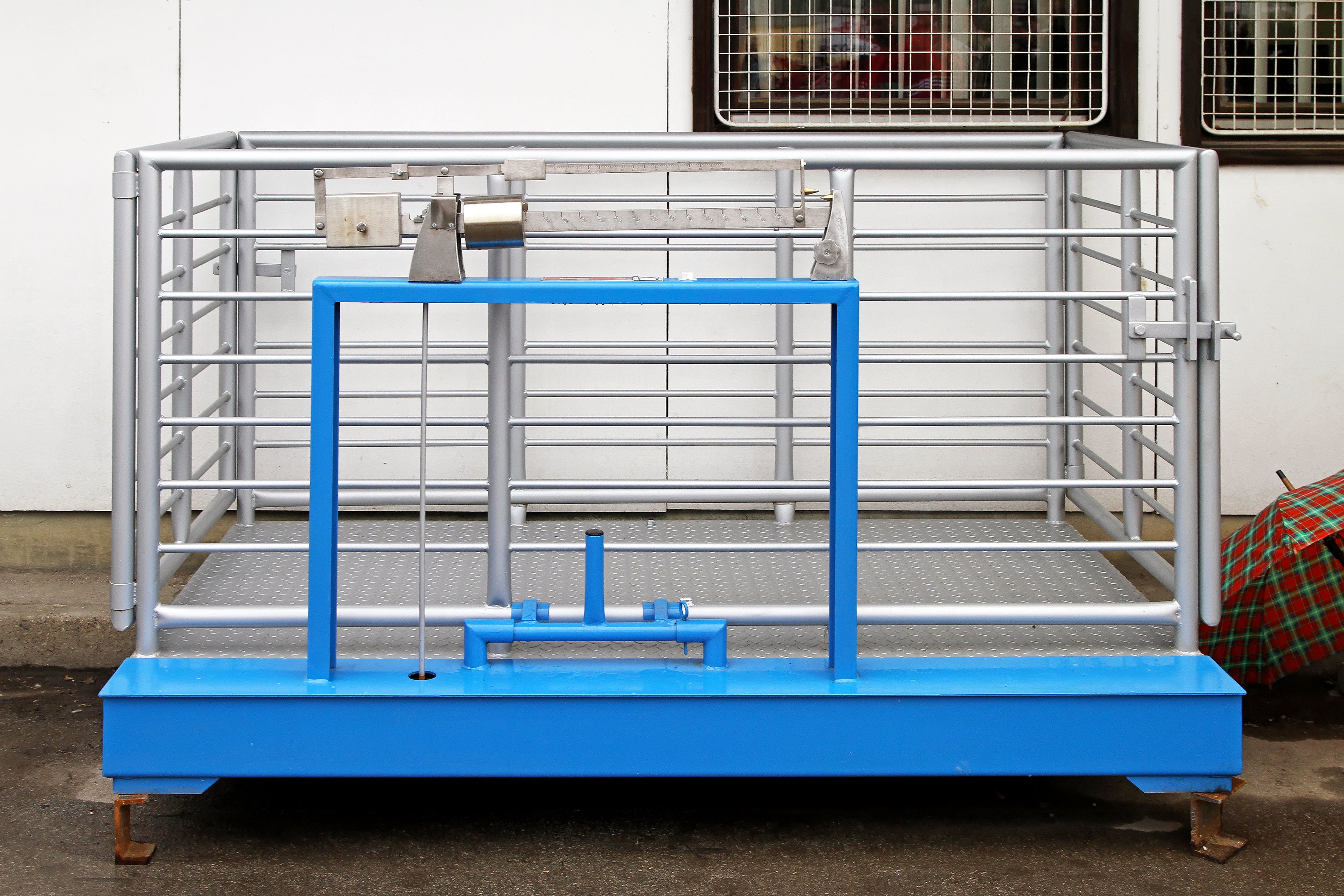 Cattle & Agricultural Livestock Weighing Systems Horse Weighbridge