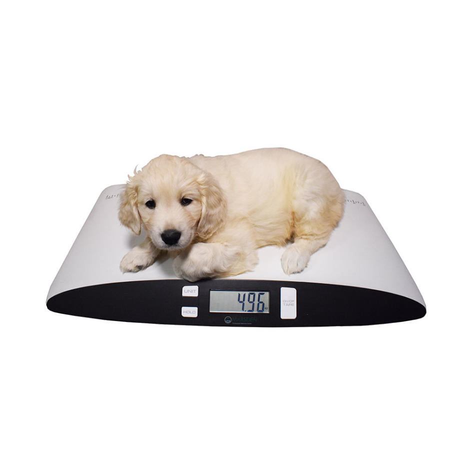 http://gravitation.ie/cdn/shop/files/Marsden-V-25-Pet-Veterinary-Scale-2.jpg?v=1696499673