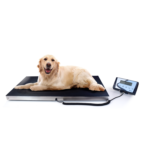 AIS-W 300kg Large Veterinary Scale