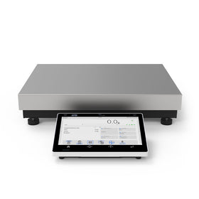 CY10.60/120.C2.K Precision Balance