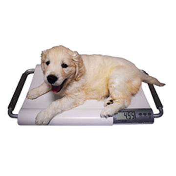 Marsden V-20 Portable Veterinary Scale - 0