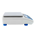 PS 600.R2.1 Precision Balance