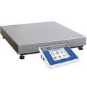 WPY 30/60.C2.R.PGC Scale
