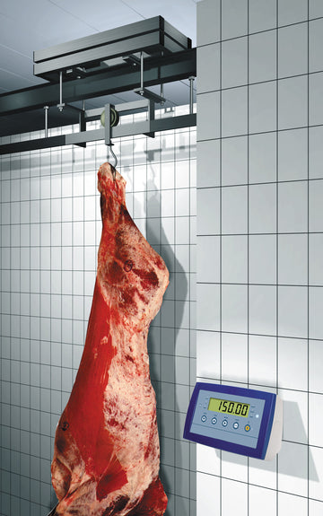 TW SERIES OVERHEAD MONORAIL WEIGHING SCALES