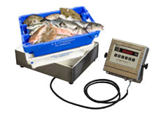 Unisystem Marine Scale